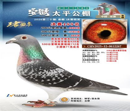 安徽太平决赛488名