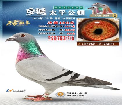 安徽太平决赛490名