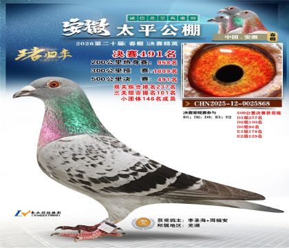 安徽太平决赛491名