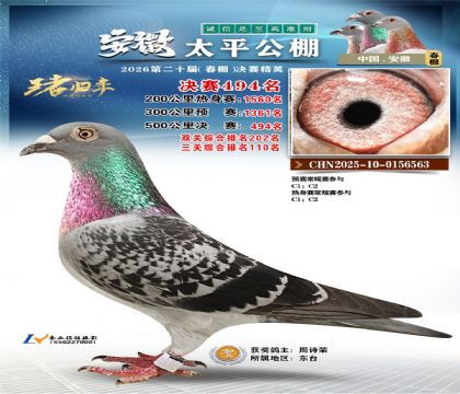 安徽太平决赛494名