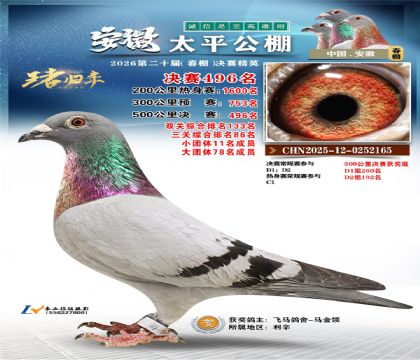 安徽太平决赛496名