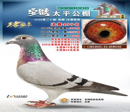 安徽太平决赛498名