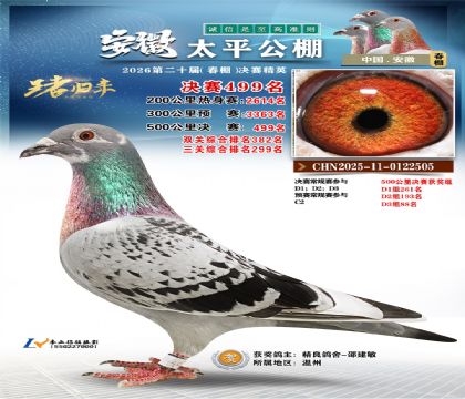 安徽太平决赛499名