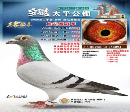 ����̫ƽ��վ���ھ�