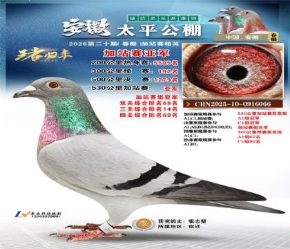 ����̫ƽ��վ���Ǿ�