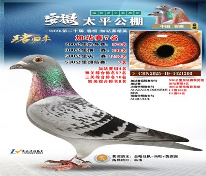 ����̫ƽ��վ��7��