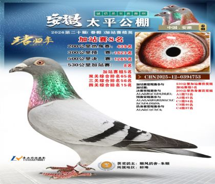 ����̫ƽ��վ��8��