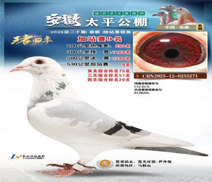 安徽太平加站赛9名