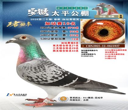 安徽太平加站赛10名