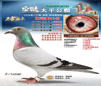 安徽太平加站赛11名