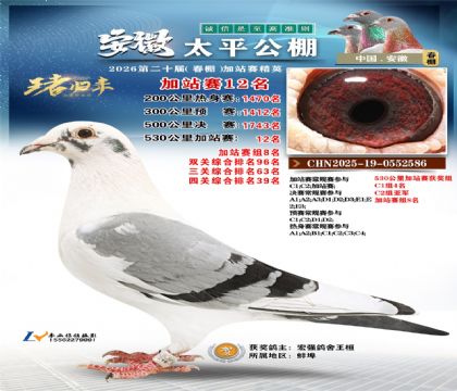 安徽太平加站赛12名