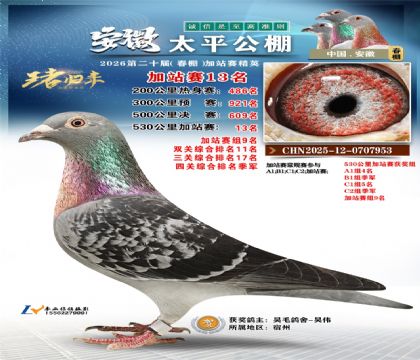 安徽太平加站赛13名