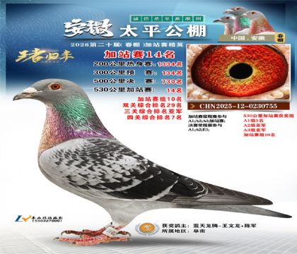 安徽太平加站赛14名