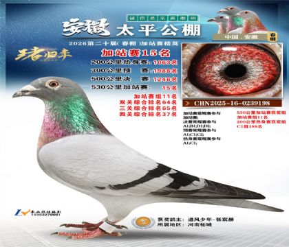 安徽太平加站赛15名