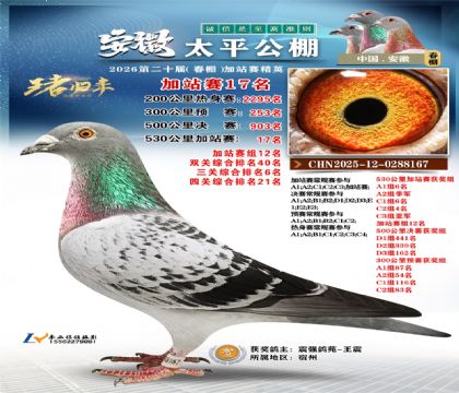 安徽太平加站赛17名