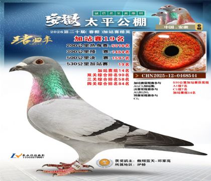 安徽太平加站赛19名