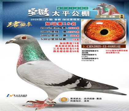 安徽太平加站赛18名