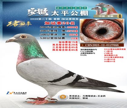 安徽太平加站赛20名