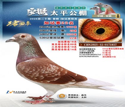 安徽太平加站赛22名