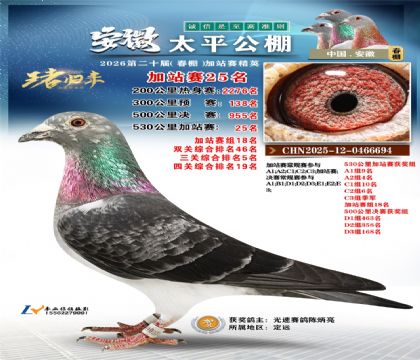 安徽太平加站赛25名