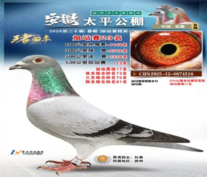 安徽太平加站赛23名