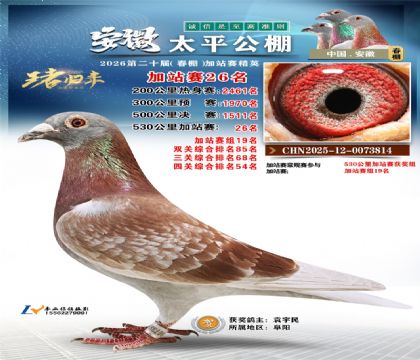 安徽太平加站赛26名