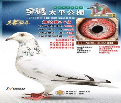 安徽太平加站赛27名