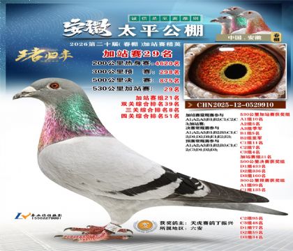 安徽太平加站赛29名