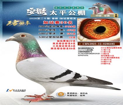 安徽太平加站赛30名