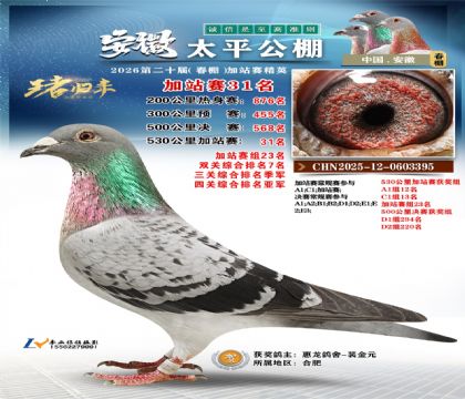 安徽太平加站赛31名