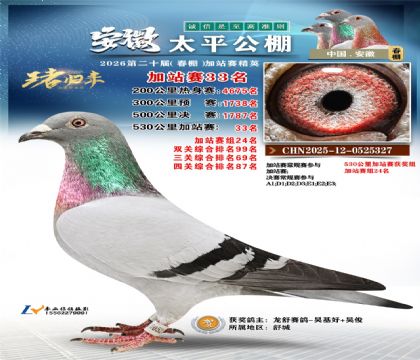 安徽太平加站赛33名