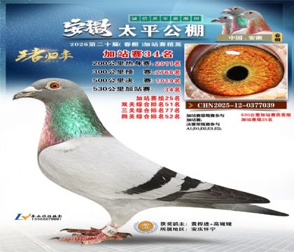 安徽太平加站赛34名