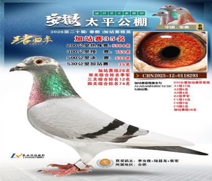 安徽太平加站赛35名