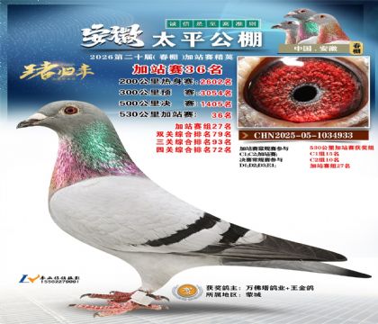 安徽太平加站赛36名