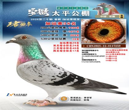 安徽太平加站赛38名