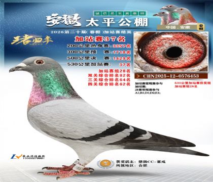 安徽太平加站赛37名