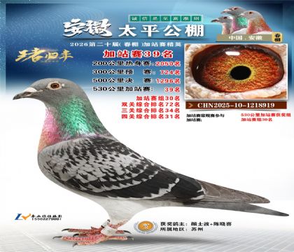 安徽太平加站赛39名