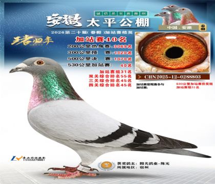 安徽太平加站赛40名