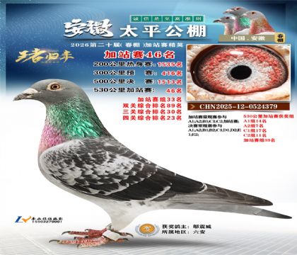 安徽太平加站赛46名