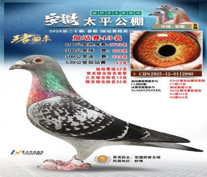 安徽太平加站赛43名