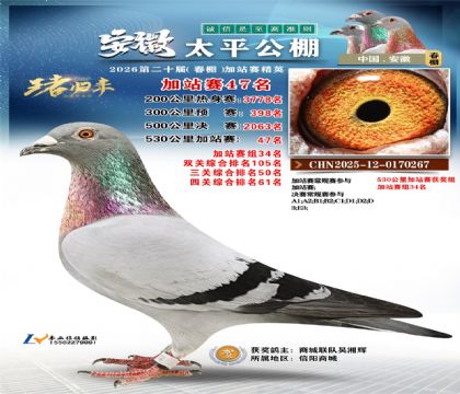 安徽太平加站赛47名