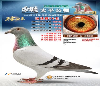 安徽太平加站赛50名