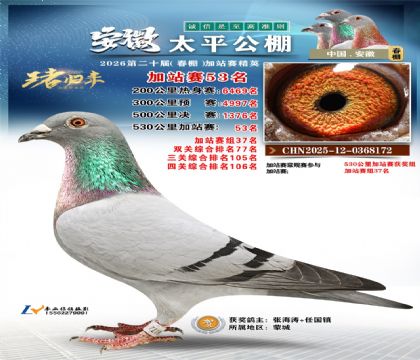 安徽太平加站赛53名