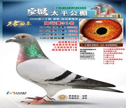 安徽太平加站赛51名