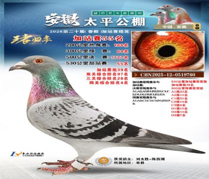 安徽太平加站赛55名