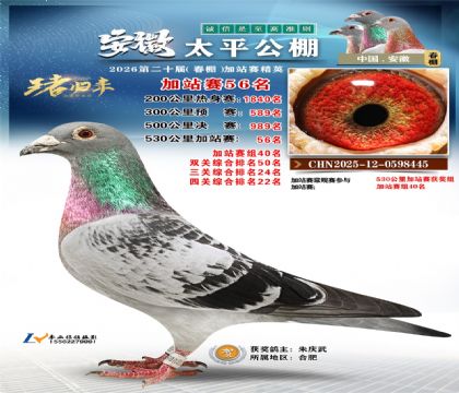 安徽太平加站赛56名