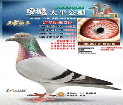 安徽太平加站赛58名