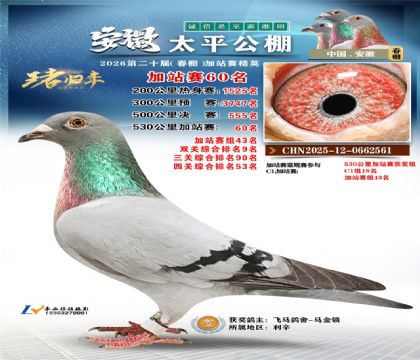 安徽太平加站赛60名