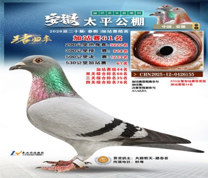 安徽太平加站赛61名