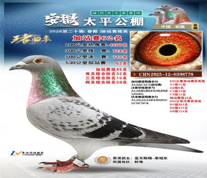 安徽太平加站赛62名